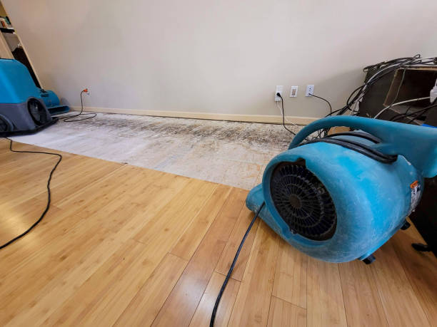 Professional Burst Pipe Water Damage technician working in Sharpsville, PA